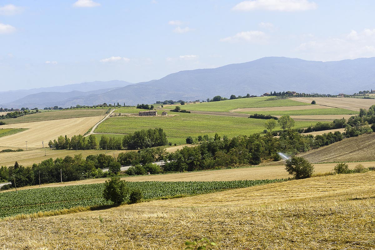 Il paesaggio tra Torrita e Petrignano